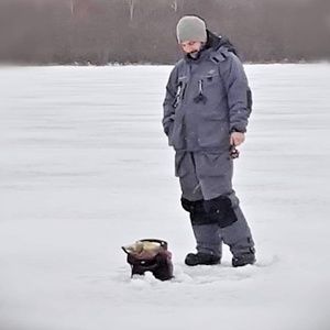 Meet your Posher, Drew